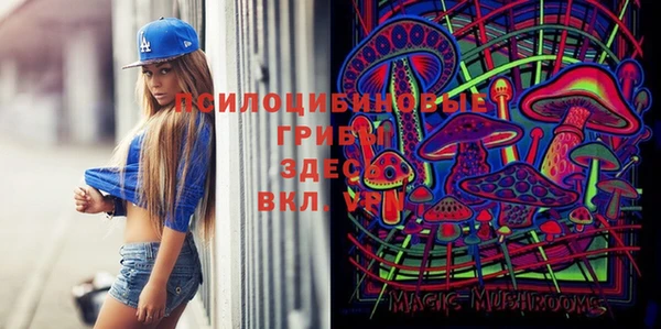 тгк Аркадак