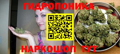 мяу мяу мука Балаково