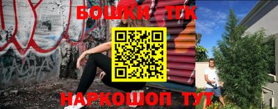 индика Балахна