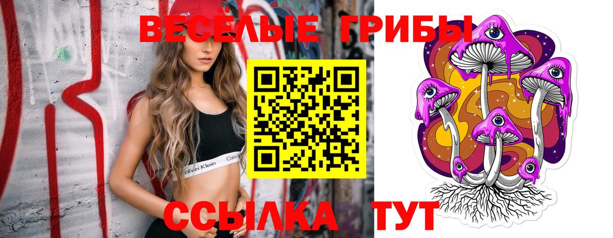 Псилоцибиновые грибы Psilocybine cubensis Беслан