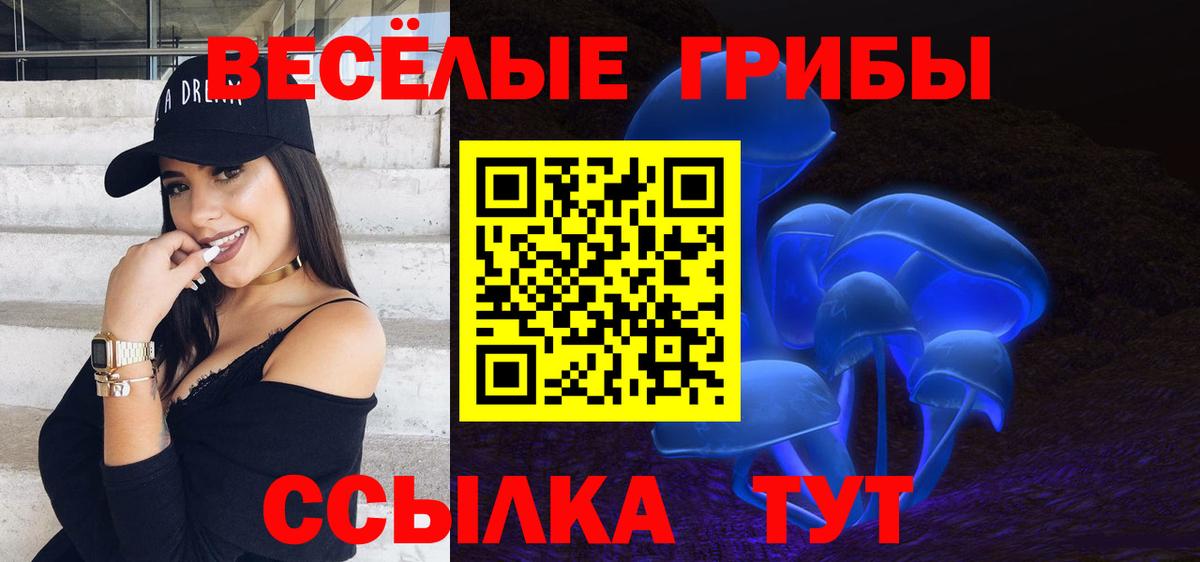 Псилоцибиновые грибы прущие грибы  Беслан 