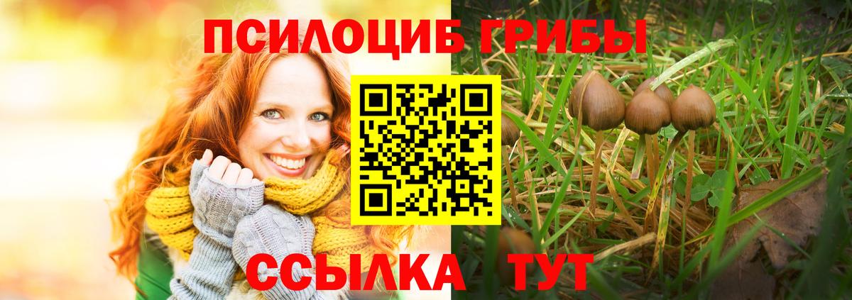 Беслан  Псилоцибиновые грибы Psilocybe  Вход с VPN 