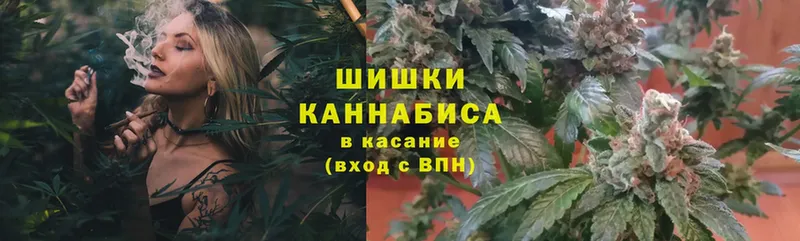 Бошки марихуана THC 21%  МЕГА маркетплейс  Беслан 